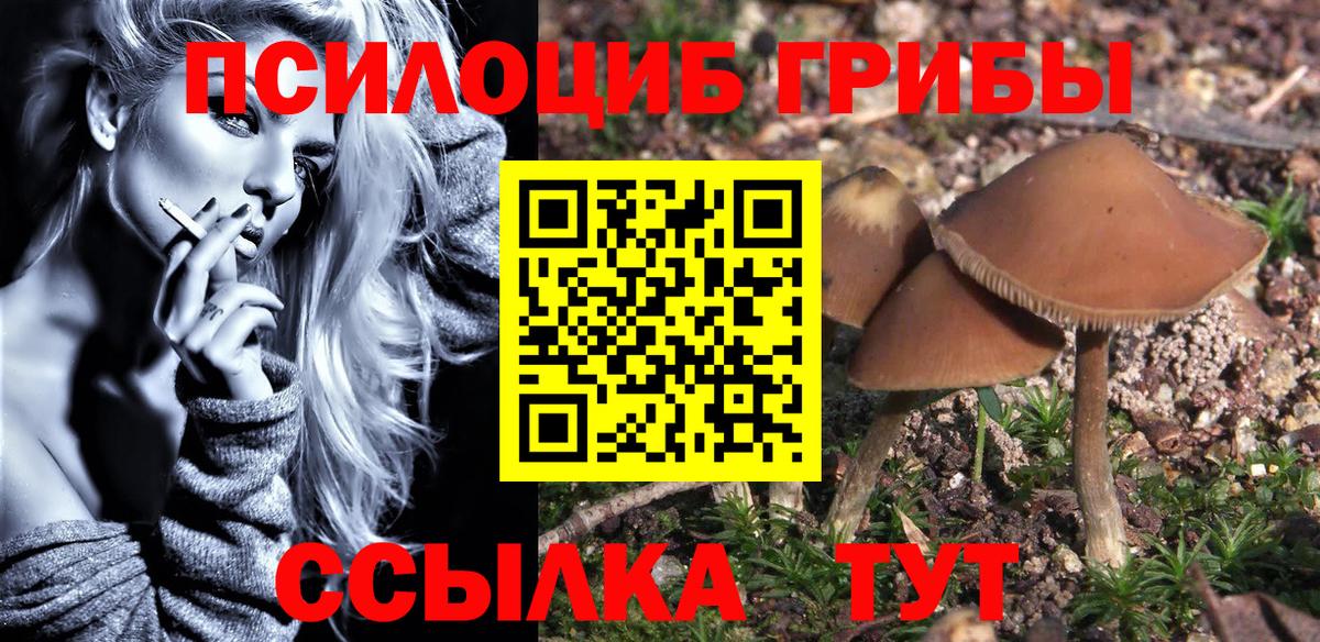 Красный Сулин  Псилоцибиновые грибы мицелий  Вход с VPN 